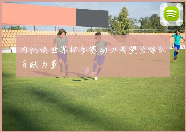 内托谈世界杯参赛动力渴望为球队贡献力量